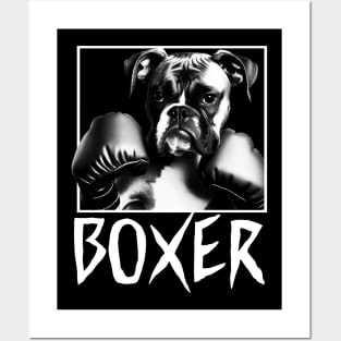 Boxer Dog - 2 Posters and Art